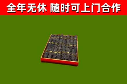 梁园回收海参